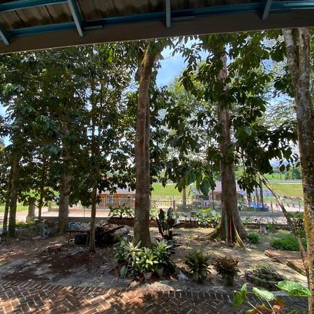 Homestay Dusun Ana Balun スリム・リバー エクステリア 写真